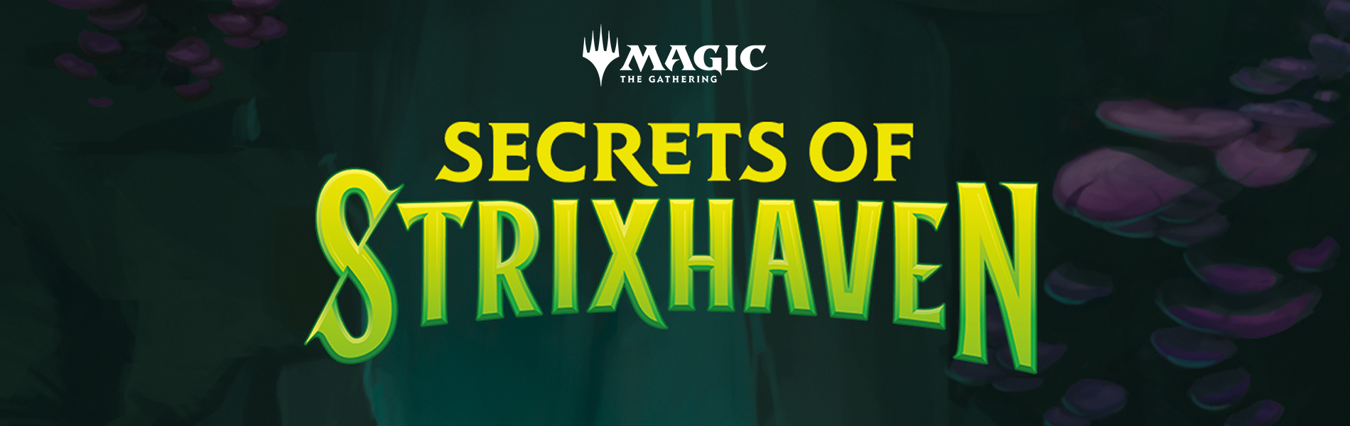 ASM_BANNER-1900x600-TCG-MTG-SOS-EN